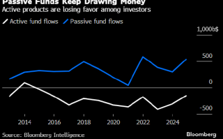 指数基金2024年吸金5,000亿美元 重燃华尔街对被动投资的争论