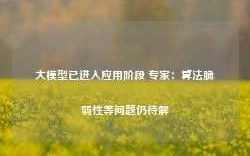 大模型已进入应用阶段 专家：算法脆弱性等问题仍待解