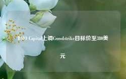 BMO Capital上调Crowdstrike目标价至380美元