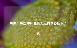 美媒：美智库斥巨资力挺特朗普防长人选