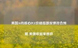 美国10月核心PCE价格指数反弹符合预期 美债收益率普跌