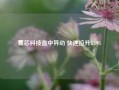 雾芯科技盘中异动 快速拉升5.19%