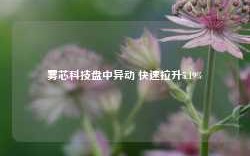 雾芯科技盘中异动 快速拉升5.19%