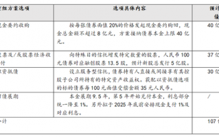 孙宏斌开出化债“药方”