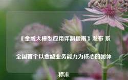 《金融大模型应用评测指南》发布 系全国首个以金融业务能力为核心的团体标准