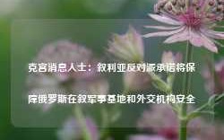 克宫消息人士：叙利亚反对派承诺将保障俄罗斯在叙军事基地和外交机构安全