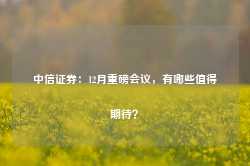 中信证券：12月重磅会议，有哪些值得期待？-第1张图片-河北创正电气设备科技有限公司