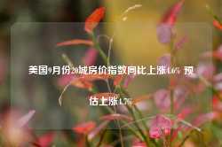 美国9月份20城房价指数同比上涨4.6% 预估上涨4.7%-第1张图片-河北创正电气设备科技有限公司