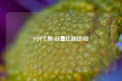 19只个股5日量比超过5倍-第1张图片-河北创正电气设备科技有限公司