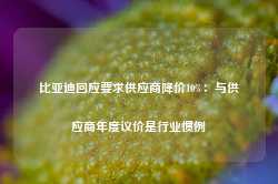 比亚迪回应要求供应商降价10%：与供应商年度议价是行业惯例-第1张图片-河北创正电气设备科技有限公司