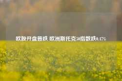 欧股开盘普跌 欧洲斯托克50指数跌0.47%-第1张图片-河北创正电气设备科技有限公司