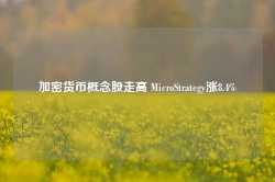 加密货币概念股走高 MicroStrategy涨8.4%-第1张图片-河北创正电气设备科技有限公司