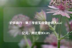 沪农商行：第三季度实现营业收入65.67亿元，同比增长0.58%-第1张图片-河北创正电气设备科技有限公司