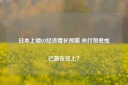 日本上调Q3经济增长预期 央行加息或已箭在弦上？-第1张图片-河北创正电气设备科技有限公司