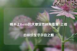 瞧不上Reddit的大摩突然转向看涨! 上调目标价至华尔街之巅-第1张图片-河北创正电气设备科技有限公司