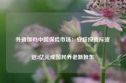 外资加码中国保险市场：安联投资斥资近3亿元成国民养老新股东-第1张图片-河北创正电气设备科技有限公司