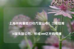 上海并购重组行动方案公布！三年培育10家头部公司、形成3000亿并购规模-第1张图片-河北创正电气设备科技有限公司