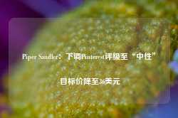 Piper Sandler：下调Pinterest评级至“中性” 目标价降至36美元-第1张图片-河北创正电气设备科技有限公司