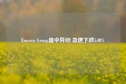 Emeren Group盘中异动 急速下跌5.08%-第1张图片-河北创正电气设备科技有限公司