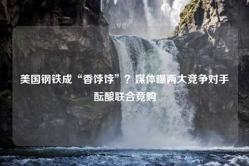 美国钢铁成“香饽饽”？媒体曝两大竞争对手酝酿联合竞购