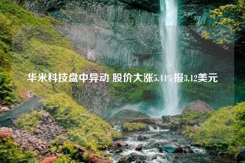 华米科技盘中异动 股价大涨5.41%报3.12美元